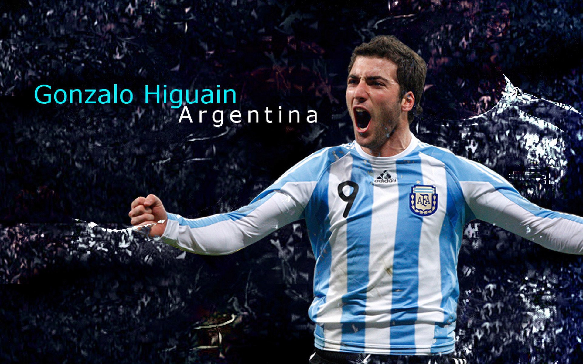 全国体校田径赛小将摘得四金,田径体育学校