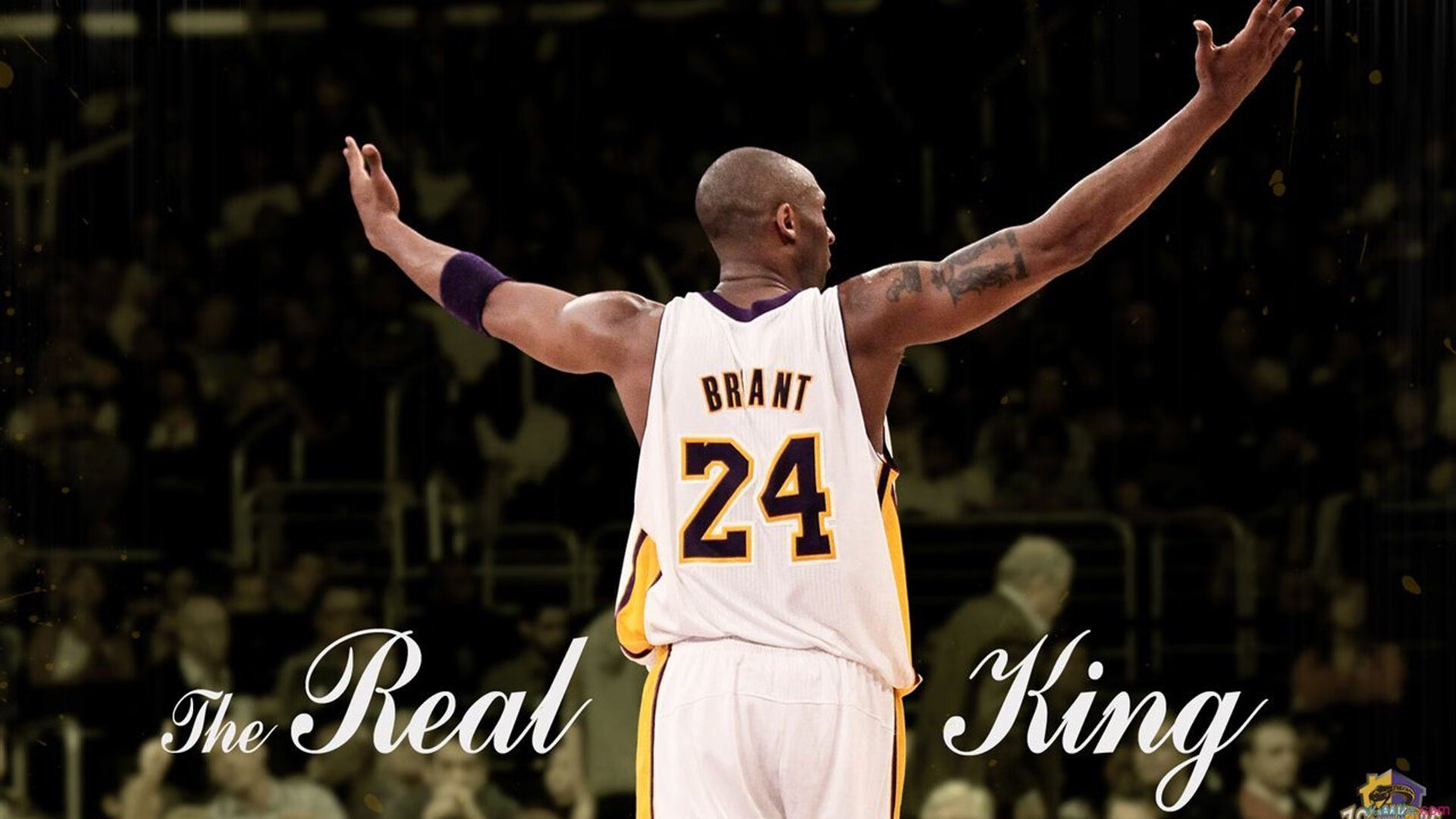 “四川省体育馆：拳击赛事迎来‘一击定生死’的激烈较量”